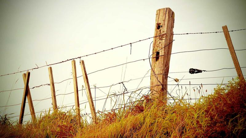 2024年欧冠决赛皇家马德里对阵曼城赛事精彩集锦画面